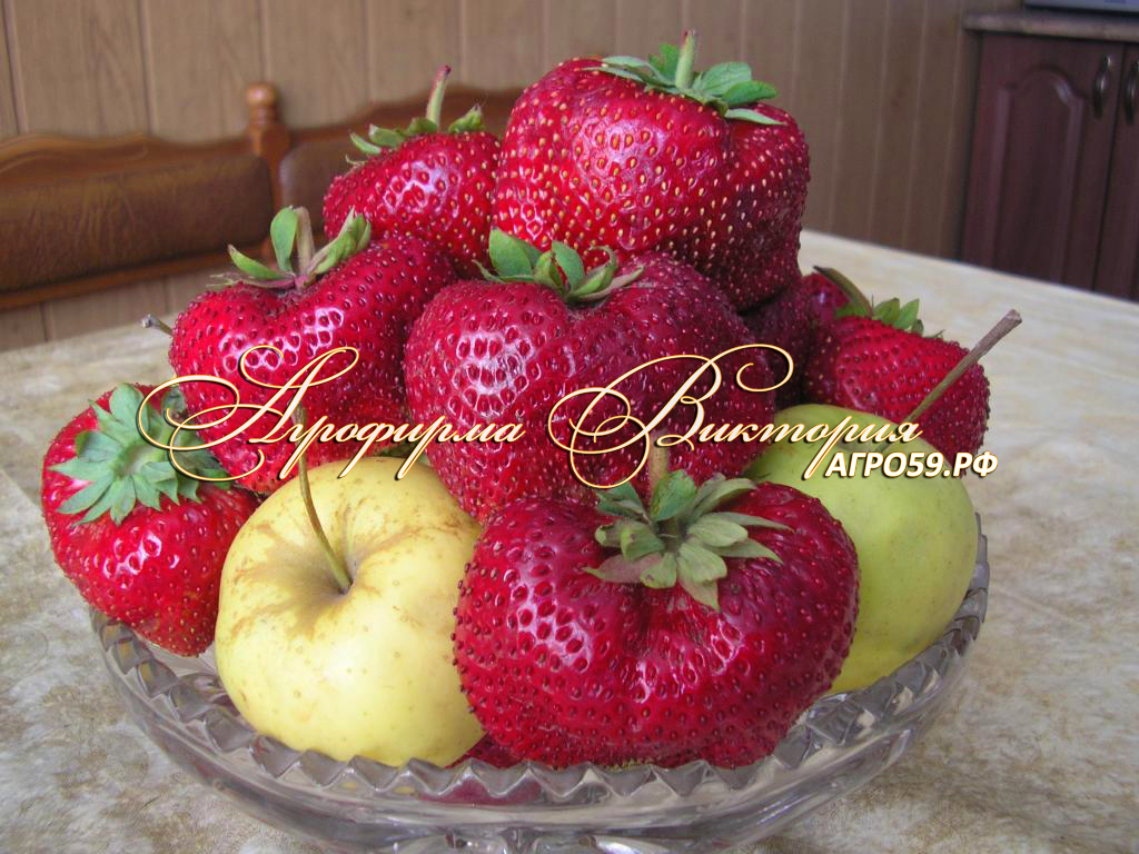 Клубника \